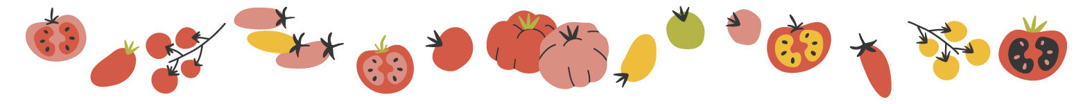 Tomato Varieties